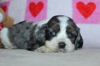 processed/f773a453-78cb-4583-a013-593187e16071/listing/69e25e7b-0983-4492-8ee4-a74c3c79a901/d5aef2a8-6b14-444a-be64-2e99f78249de