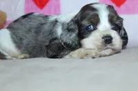 processed/f773a453-78cb-4583-a013-593187e16071/listing/69e25e7b-0983-4492-8ee4-a74c3c79a901/def5935a-7fe5-4102-bf30-0c1b8526c219