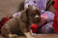 processed/f773a453-78cb-4583-a013-593187e16071/listing/6e3f1d28-451a-47cb-a035-bf8ca21c50da/268fcaa5-834f-4792-9a22-0cfaa4f22dfa