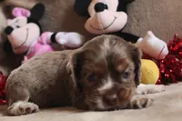 processed/f773a453-78cb-4583-a013-593187e16071/listing/6e3f1d28-451a-47cb-a035-bf8ca21c50da/6bb11abf-776e-445d-853d-a896cb9b30bf