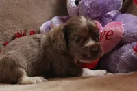 processed/f773a453-78cb-4583-a013-593187e16071/listing/6e3f1d28-451a-47cb-a035-bf8ca21c50da/9f8337ea-768f-4992-8f07-6f52cc99e84c