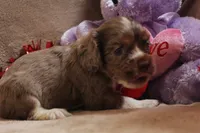 processed/f773a453-78cb-4583-a013-593187e16071/listing/6e3f1d28-451a-47cb-a035-bf8ca21c50da/a0a38c68-062b-45fb-a2f7-37436e382a18