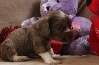 processed/f773a453-78cb-4583-a013-593187e16071/listing/6e3f1d28-451a-47cb-a035-bf8ca21c50da/b5e1bc34-24cf-4132-9619-90dfc28755c5