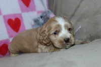 processed/f773a453-78cb-4583-a013-593187e16071/listing/7873bb71-7fd4-49c2-b066-dfe070f5745e/0ed77566-355e-435c-8e1c-e8e4066e1acc