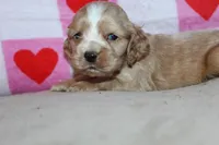 processed/f773a453-78cb-4583-a013-593187e16071/listing/7873bb71-7fd4-49c2-b066-dfe070f5745e/0f92e6d7-7408-42ea-9055-49d17070d742