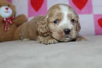 processed/f773a453-78cb-4583-a013-593187e16071/listing/7873bb71-7fd4-49c2-b066-dfe070f5745e/f78807ab-f979-4f7a-a0a0-39503420eb8b