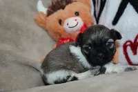 processed/f773a453-78cb-4583-a013-593187e16071/listing/889b29e6-1da4-4c0c-a7c1-75fb2a72309b/2db2bae8-47d5-40dc-b87e-18e2ee919926