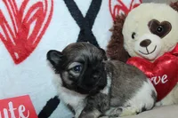 processed/f773a453-78cb-4583-a013-593187e16071/listing/889b29e6-1da4-4c0c-a7c1-75fb2a72309b/5ad390c3-0a10-483d-8d40-49665478ff15