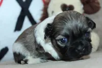 processed/f773a453-78cb-4583-a013-593187e16071/listing/889b29e6-1da4-4c0c-a7c1-75fb2a72309b/881db272-6e22-4ea2-a8f0-827c13431048