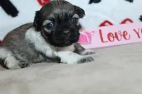 processed/f773a453-78cb-4583-a013-593187e16071/listing/889b29e6-1da4-4c0c-a7c1-75fb2a72309b/ec75da8c-8b09-4836-989b-d943b0939ebe