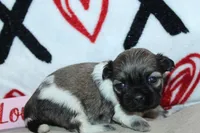 processed/f773a453-78cb-4583-a013-593187e16071/listing/889b29e6-1da4-4c0c-a7c1-75fb2a72309b/ee1731ff-9dfe-4bba-82b6-f54b5a3b6588