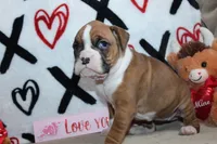 processed/f773a453-78cb-4583-a013-593187e16071/listing/8b57763e-7625-4ecf-a73f-276185c68ee8/48ad1052-fa6f-49d1-af51-ca92d204e1f7