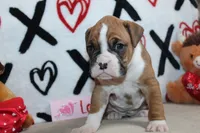 processed/f773a453-78cb-4583-a013-593187e16071/listing/8b57763e-7625-4ecf-a73f-276185c68ee8/b2619f2e-a6f1-445f-b18f-d3074259df6d