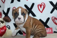 processed/f773a453-78cb-4583-a013-593187e16071/listing/8b57763e-7625-4ecf-a73f-276185c68ee8/c8de6586-94a4-4fe3-ab2b-a7388e6a9a60