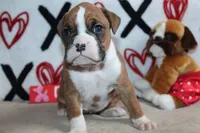 processed/f773a453-78cb-4583-a013-593187e16071/listing/8b57763e-7625-4ecf-a73f-276185c68ee8/cb718b6b-fa52-4080-b939-2a77d58e949a