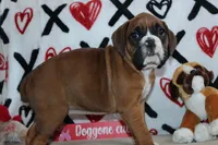 processed/f773a453-78cb-4583-a013-593187e16071/listing/8e51bd1e-0a4c-4279-ab14-4e452c041ee0/609f29aa-080b-4884-b0c2-136101fe9b06