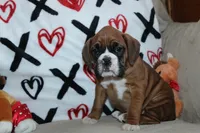 processed/f773a453-78cb-4583-a013-593187e16071/listing/8e51bd1e-0a4c-4279-ab14-4e452c041ee0/77453e5f-c110-4c57-aae9-437af1be2761