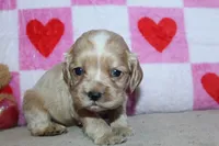 processed/f773a453-78cb-4583-a013-593187e16071/listing/94b349c8-7aa8-4103-ba2c-35ebaf8a7445/d8f6cb74-4087-4466-bd88-ec37021313a5