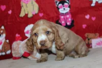 processed/f773a453-78cb-4583-a013-593187e16071/listing/a2ef5cc5-2acf-450d-b2d2-b3f32ee2d07d/0e80ce34-d325-4c58-b9d0-9efff4d4900d