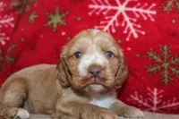 processed/f773a453-78cb-4583-a013-593187e16071/listing/a2ef5cc5-2acf-450d-b2d2-b3f32ee2d07d/15170098-3191-4eb2-9055-e76d07388f5a