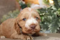 processed/f773a453-78cb-4583-a013-593187e16071/listing/a2ef5cc5-2acf-450d-b2d2-b3f32ee2d07d/220dd9d1-b69c-4695-8df3-1b9050b21cd0