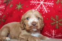 processed/f773a453-78cb-4583-a013-593187e16071/listing/a2ef5cc5-2acf-450d-b2d2-b3f32ee2d07d/282fd6f4-7efb-4e3e-8ccb-217476080deb