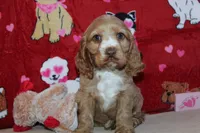 processed/f773a453-78cb-4583-a013-593187e16071/listing/a2ef5cc5-2acf-450d-b2d2-b3f32ee2d07d/4778933a-120d-475f-8e48-16d9345f64f2