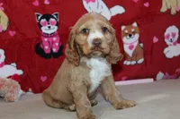 processed/f773a453-78cb-4583-a013-593187e16071/listing/a2ef5cc5-2acf-450d-b2d2-b3f32ee2d07d/62400bf0-2d98-457b-a6ef-97eb59e6c01e