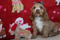 processed/f773a453-78cb-4583-a013-593187e16071/listing/a2ef5cc5-2acf-450d-b2d2-b3f32ee2d07d/72d46503-b2d5-414c-8dea-516eb2fd4d98