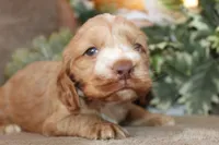 processed/f773a453-78cb-4583-a013-593187e16071/listing/a2ef5cc5-2acf-450d-b2d2-b3f32ee2d07d/77659525-f538-4d99-a36b-ef648fde3186