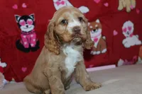 processed/f773a453-78cb-4583-a013-593187e16071/listing/a2ef5cc5-2acf-450d-b2d2-b3f32ee2d07d/ad6f0d18-092d-4765-9748-96b626af0f8c