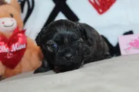 processed/f773a453-78cb-4583-a013-593187e16071/listing/a8ae4245-dc64-4cf8-8182-048c443ad883/50cf631c-0942-4250-89ad-8b19fffaee47