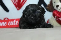 processed/f773a453-78cb-4583-a013-593187e16071/listing/a8ae4245-dc64-4cf8-8182-048c443ad883/78ad3316-871a-4ef5-ab5e-6b27cc2a17c8