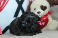 processed/f773a453-78cb-4583-a013-593187e16071/listing/a8ae4245-dc64-4cf8-8182-048c443ad883/c964294c-6fd2-4b56-abfd-aa42cfeb2ac3