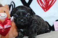 processed/f773a453-78cb-4583-a013-593187e16071/listing/a8ae4245-dc64-4cf8-8182-048c443ad883/d3dacd18-953f-42e0-9c7b-232dede0aab6