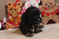 processed/f773a453-78cb-4583-a013-593187e16071/listing/b8595f70-efbc-4bc9-869f-ba780e2a765a/4a0ad5e9-2478-4e69-8dc0-05a05e02af29