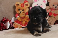 processed/f773a453-78cb-4583-a013-593187e16071/listing/b8595f70-efbc-4bc9-869f-ba780e2a765a/89a80a83-444a-4420-a67a-981a92ed7e13