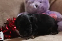 processed/f773a453-78cb-4583-a013-593187e16071/listing/b8595f70-efbc-4bc9-869f-ba780e2a765a/8f65231e-3fb3-46d1-a953-ca21171f799e