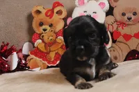 processed/f773a453-78cb-4583-a013-593187e16071/listing/b8595f70-efbc-4bc9-869f-ba780e2a765a/c5abd8fa-f2ee-47aa-be4d-a4521b5e7f2c