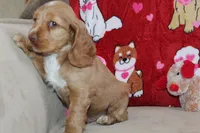 processed/f773a453-78cb-4583-a013-593187e16071/listing/be51dffc-dac7-4d2d-b735-52b19f437435/120223e8-92f2-4667-b592-fde4216ff3eb