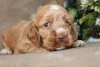 processed/f773a453-78cb-4583-a013-593187e16071/listing/be51dffc-dac7-4d2d-b735-52b19f437435/122aff45-3129-4d93-8b0c-01510e037489