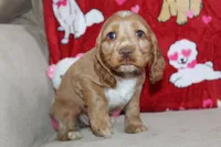 processed/f773a453-78cb-4583-a013-593187e16071/listing/be51dffc-dac7-4d2d-b735-52b19f437435/7515c864-940c-41a1-8935-c6e338daf5dc