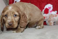 processed/f773a453-78cb-4583-a013-593187e16071/listing/be51dffc-dac7-4d2d-b735-52b19f437435/ad5ddb86-72bc-4304-8f85-9249e6b22064