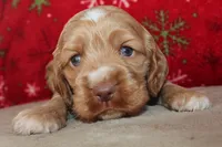 processed/f773a453-78cb-4583-a013-593187e16071/listing/be51dffc-dac7-4d2d-b735-52b19f437435/f9bc6d73-e57b-4379-834a-c60d40d5c656