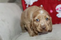 processed/f773a453-78cb-4583-a013-593187e16071/listing/be51dffc-dac7-4d2d-b735-52b19f437435/fbdf790b-60c0-4098-b397-5ce8bf8a35a4