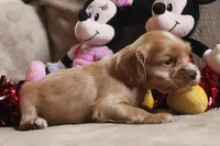 processed/f773a453-78cb-4583-a013-593187e16071/listing/cacc7dde-3e1b-41e6-a9bc-089bbf5d6cfb/32c34639-6244-4f99-9615-2523cc3c1bee