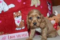 processed/f773a453-78cb-4583-a013-593187e16071/listing/cbf54f4b-1080-47e9-bc5c-1fe57b300288/0c50f644-1e80-49b7-8764-32d6d5e6a71f