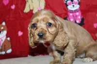 processed/f773a453-78cb-4583-a013-593187e16071/listing/cbf54f4b-1080-47e9-bc5c-1fe57b300288/775623b8-f0de-4c57-856e-8eee7521dcb1