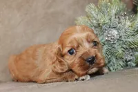 processed/f773a453-78cb-4583-a013-593187e16071/listing/cbf54f4b-1080-47e9-bc5c-1fe57b300288/865016ea-f44e-4c2e-8423-ffd2266c129f