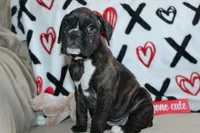 processed/f773a453-78cb-4583-a013-593187e16071/listing/df34cddf-1822-4825-a2f0-6f4e01b05351/11bb63f8-6956-4e98-89ca-8f83e39ebb1a